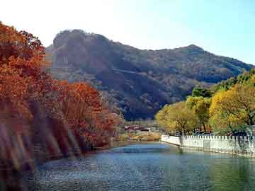 澳门精准正版免费大全14年新，上海排水板